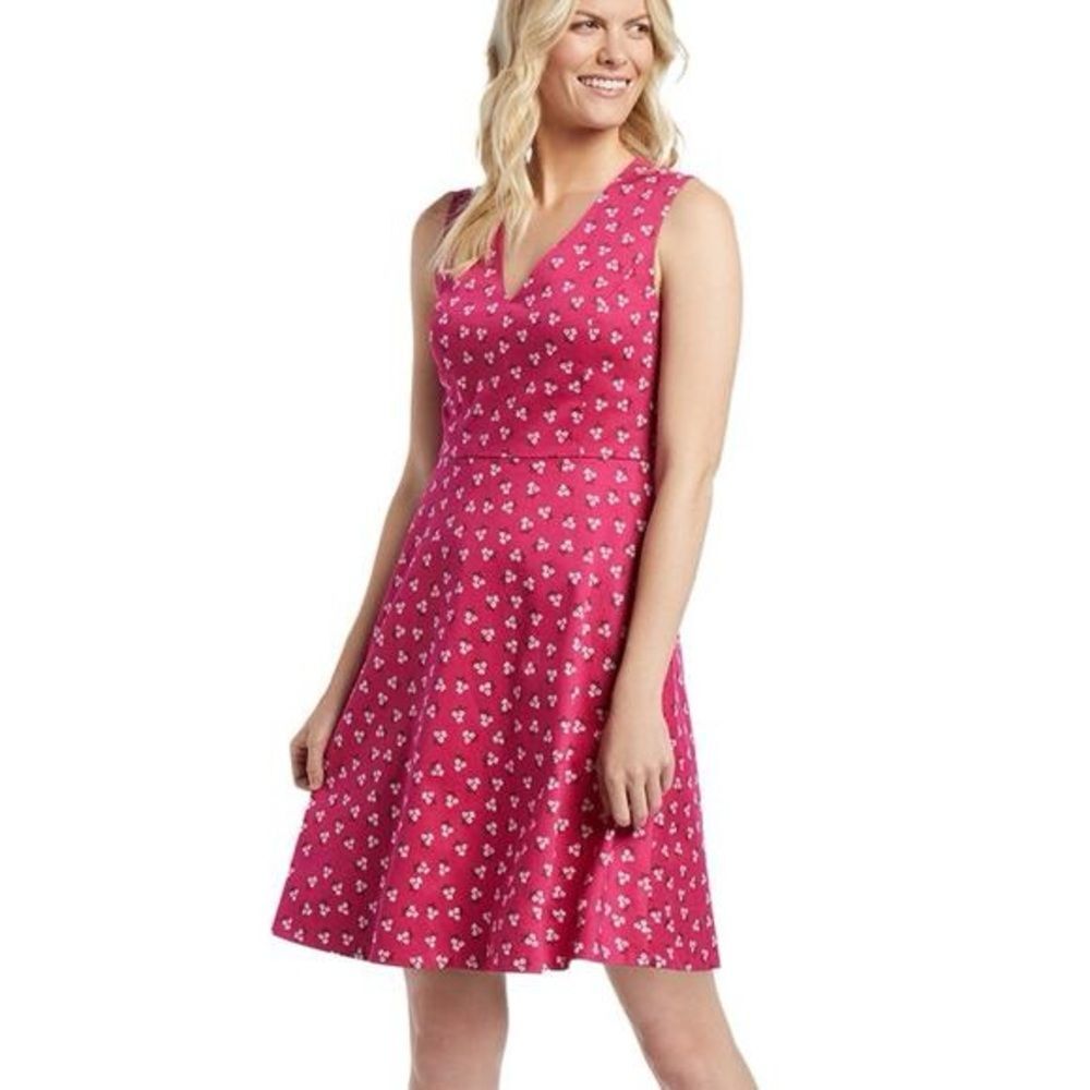 Draper James Cabernet Floral Love Circle Mini Dress Size 2 Pink Plunge V-Neck - Picture 12 of 13